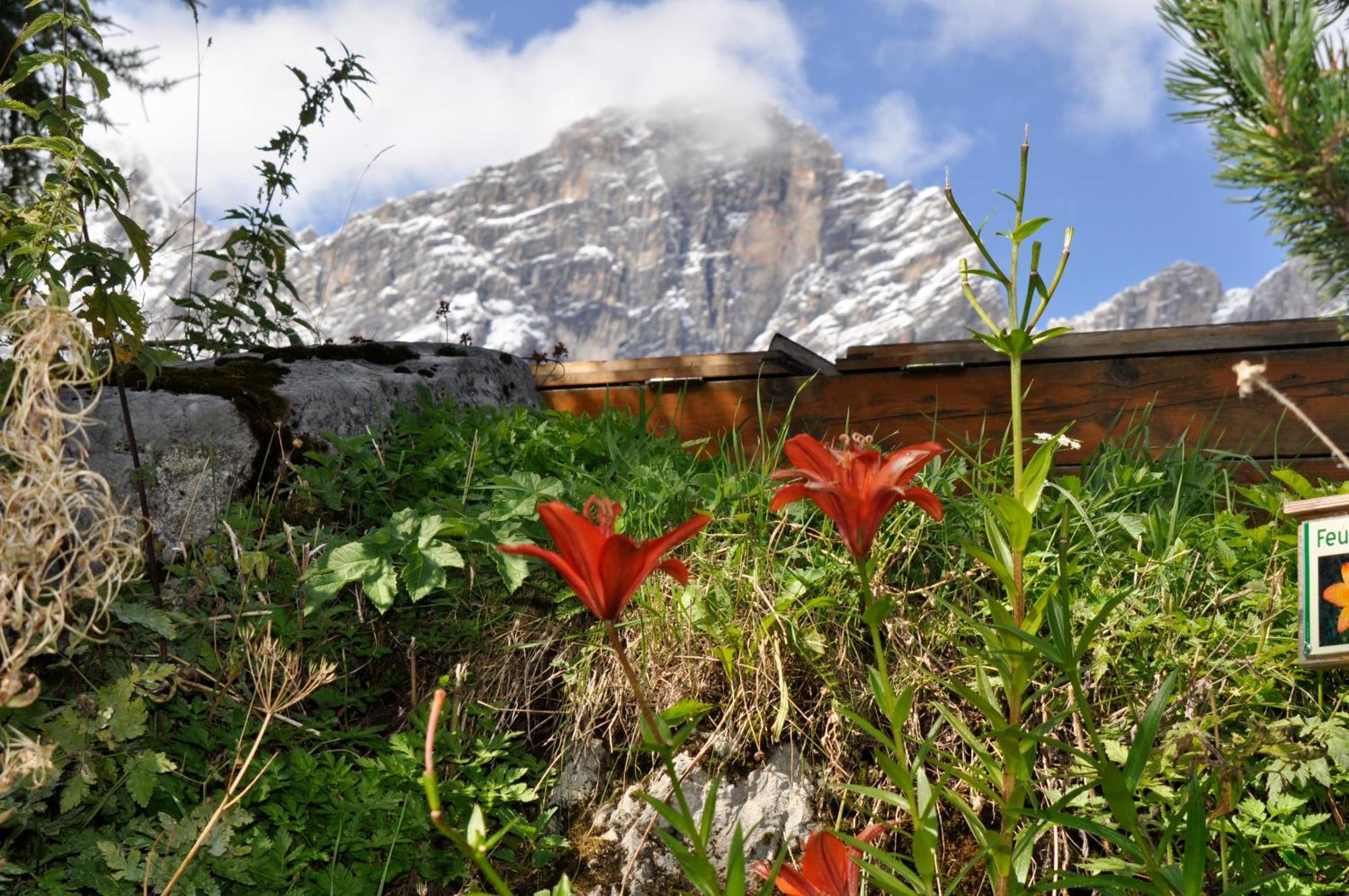 Hotel Gasthof Hunerkogel Ramsau am Dachstein Exterior foto